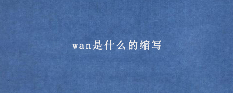 wan是什么的縮寫